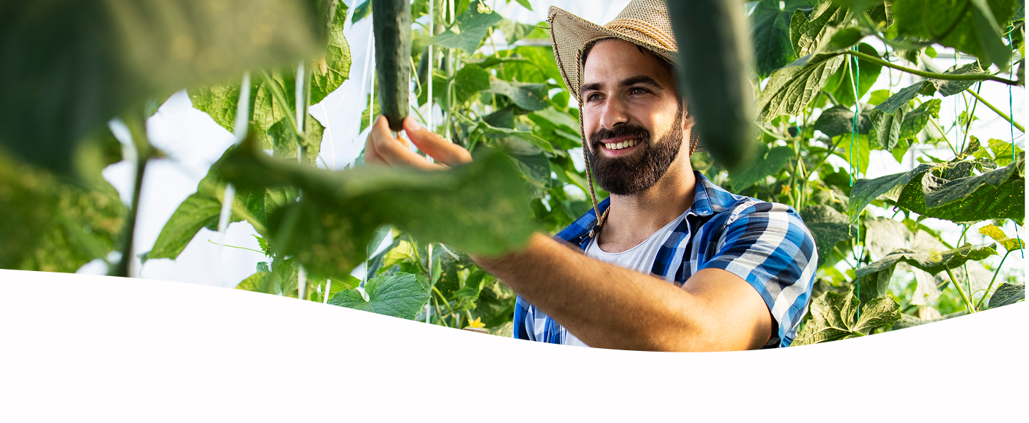 Homem no campo com plantas