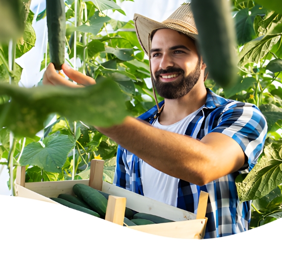 Homem no campo com plantas