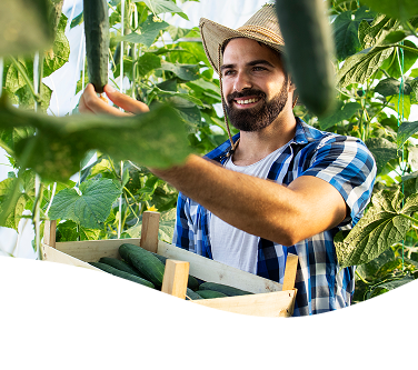 Homem no campo com plantas
